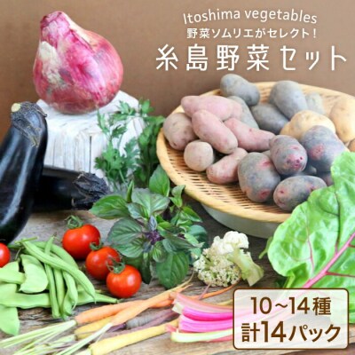 旬を味わう 糸島 野菜 セット 10～14種(計14パック) [AJB001]