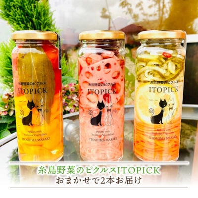 【全12回定期便】生ドレッシング/コンフィチュール/バター/ピクルス [AQA019]