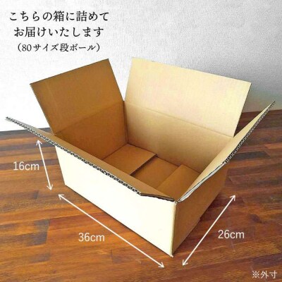 【全12回定期便】朝採れ野菜セット (8品前後) [AGE012]