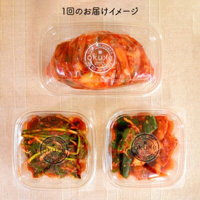 【全6回定期便】玉家のキムチ セットA ( 白菜 / 葱 / 胡瓜 / 大根 )[AAE009]