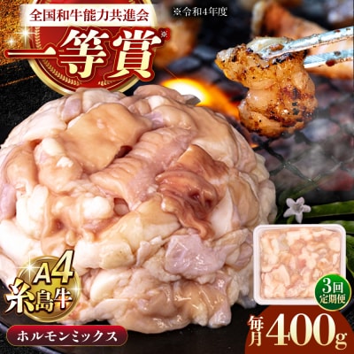 【3回定期便】A4ランク 和牛 ホルモンミックス 400g[AGN011]