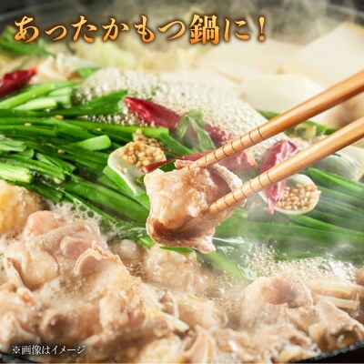 【3回定期便】A4ランク 和牛 ホルモンミックス 400g[AGN011]