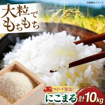 【スピード発送】令和7年産 にこまる 玄米品質1等米 白米 10kg 糸島市産[AGR002]