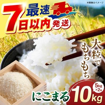 【スピード発送】令和7年産 にこまる 玄米品質1等米 白米 10kg 糸島市産[AGR002]