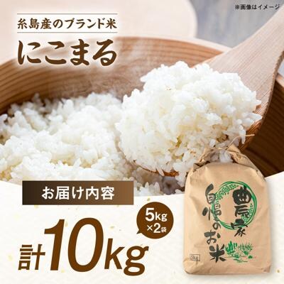 【スピード発送】令和7年産 にこまる 玄米品質1等米 白米 10kg 糸島市産[AGR002]