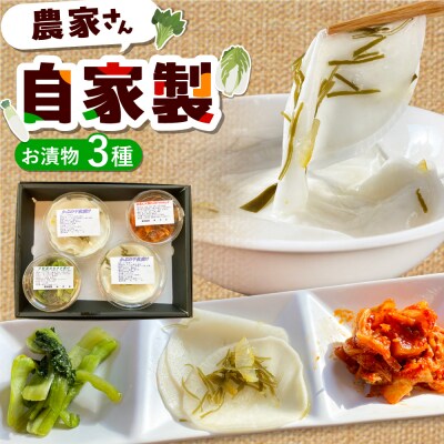 農家が作った糸島野菜のお漬物セット 糸島市 / 農園カフェ 風天 [ASN004]