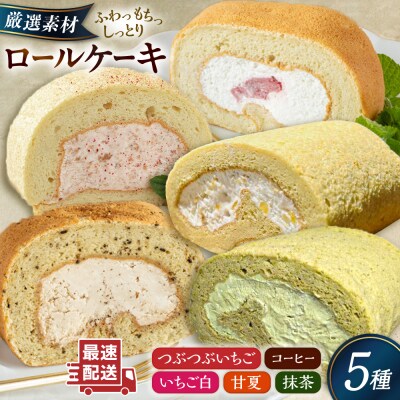 【ご自宅用】 まるごと5種ロールケーキセット 糸島市 / わかまつ農園 [AHB065]