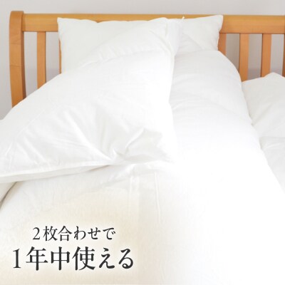 シングル ウォッシャブルふとん【アレグロ/増量タイプ】 糸島市 / くじめ屋 [ADP012]