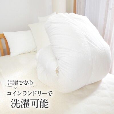 シングル ウォッシャブルふとん【エスプレ/増量タイプ】 糸島市 / くじめ屋 [ADP022]