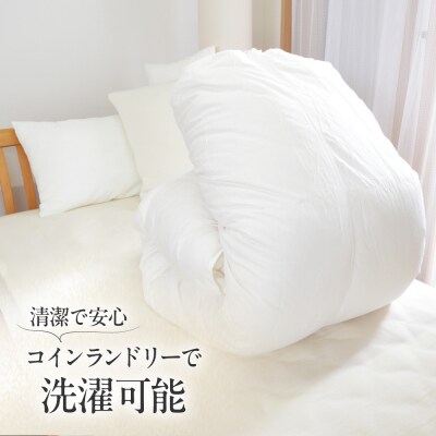 シングル ウォッシャブルふとん【カルマート/スタンダード】 糸島市 / くじめ屋 [ADP027]