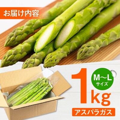 採れたてを直送!糸島野菜 アスパラガス 1kg (M-Lサイズ) / しろファーム [AHQ001]