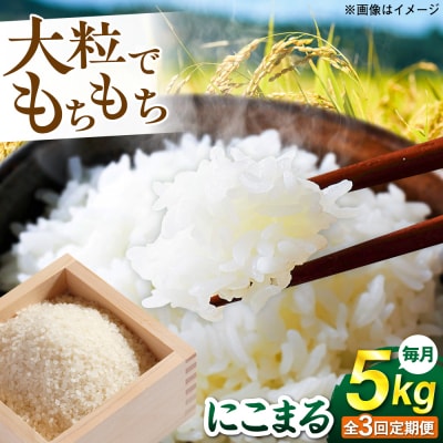 【全3回定期便】 にこまる 玄米品質1等米 白米 5kg 糸島市産 [AGR008]