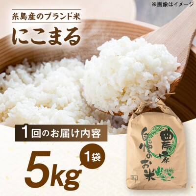 【全3回定期便】 にこまる 玄米品質1等米 白米 5kg 糸島市産 [AGR008]