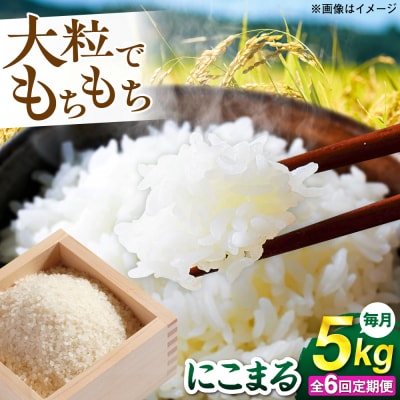 【全6回定期便】 にこまる 玄米品質1等米 白米 5kg 糸島市産 [AGR009]