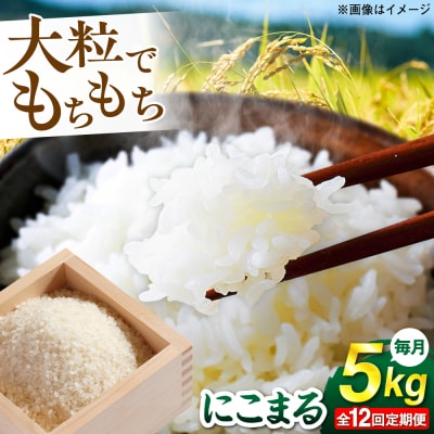 【全12回定期便】 にこまる 玄米品質1等米 白米 5kg 糸島市産 [AGR010]