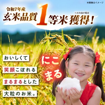 【全12回定期便】 にこまる 玄米品質1等米 白米 5kg 糸島市産 [AGR010]