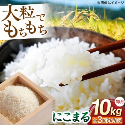 【全3回定期便】 にこまる 玄米品質1等米 白米 10kg 糸島市産 [AGR011]