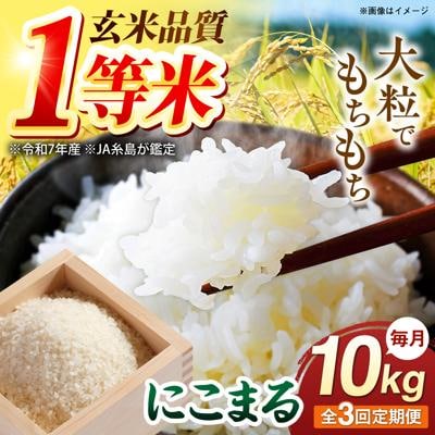 【全3回定期便】 にこまる 玄米品質1等米 白米 10kg 糸島市産 [AGR011]