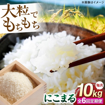 【全6回定期便】 にこまる 玄米品質1等米 白米 10kg 糸島市産 [AGR012]