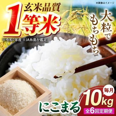 【全6回定期便】 にこまる 玄米品質1等米 白米 10kg 糸島市産 [AGR012]