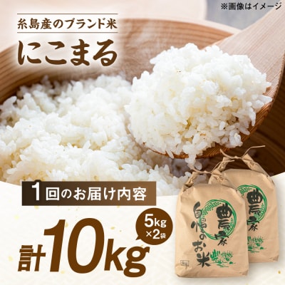 【全6回定期便】 にこまる 玄米品質1等米 白米 10kg 糸島市産 [AGR012]