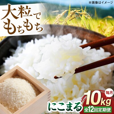 【全12回定期便】 にこまる 玄米品質1等米 白米 10kg 糸島市産 [AGR013]
