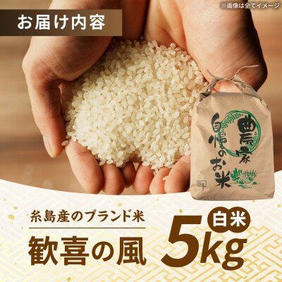 歓喜の風 白米 5kg 糸島市産 糸島市 / 糸島の恵み コメ こめ ご飯 [AGR003]