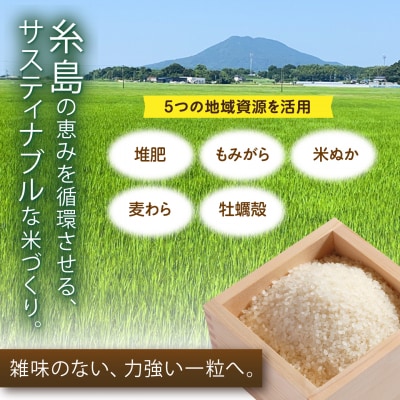にじのきらめき 白米 5kg 糸島市産 糸島市 / 糸島の恵み コメ こめ ご飯 [AGR004]