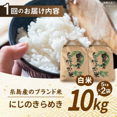【全12回定期便】 にじのきらめき 白米 10kg 糸島市産 [AGR020]
