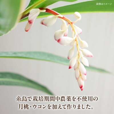糸島のハーブと海塩の入浴剤 月桃の香り湯 3個入り [ABR004]