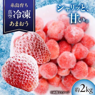 福岡県産 真空冷凍 あまおう いちご 約2kg  / 削りいちご 加工用 [AKQ011]