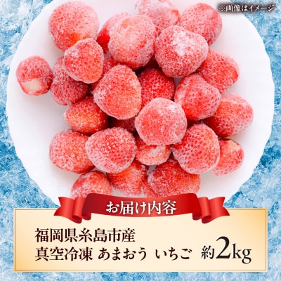 福岡県産 真空冷凍 あまおう いちご 約2kg  / 削りいちご 加工用 [AKQ011]