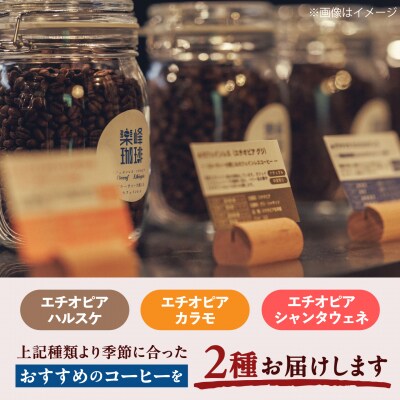 【自家焙煎】フルーティな味わいコーヒー 2種セット 糸島市 / 楽峰珈琲ロースター[ALR001]