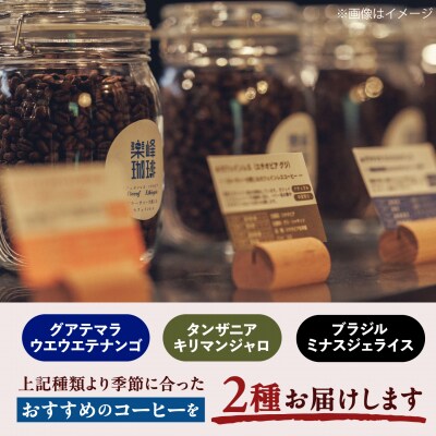 【自家焙煎】コクと深みのコーヒー 2種セット 糸島市 / 楽峰珈琲ロースター[ALR002]