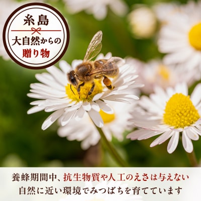 糸島生はちみつ 1個 糸島市 / 糸島げんき工房 [AKR001]