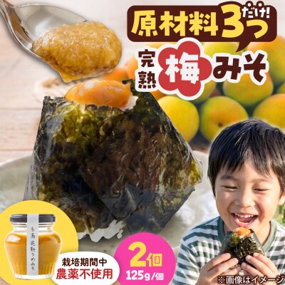 糸島完熟うめみそ2個セット 糸島市 / 糸島げんき工房 [AKR004]