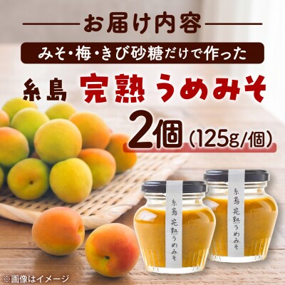 糸島完熟うめみそ2個セット 糸島市 / 糸島げんき工房 [AKR004]