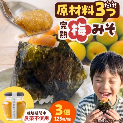 糸島完熟うめみそ3個セット 糸島市 / 糸島げんき工房 [AKR005]