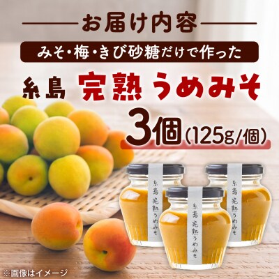糸島完熟うめみそ3個セット 糸島市 / 糸島げんき工房 [AKR005]