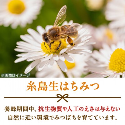 糸島産 生はちみつとくだもの酵素ジャムセット 糸島市 / 糸島げんき工房 [AKR006]