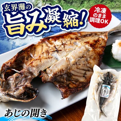 糸島玄界灘産 あじの開き 1枚  糸島市 / 有限会社 糸島海産 / 開き / 肴 [AMR008]
