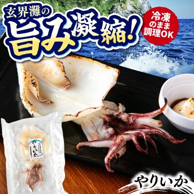 糸島玄界灘産 やりいか 1枚  糸島市 / 有限会社 糸島海産 / イカ / 肴 [AMR010]