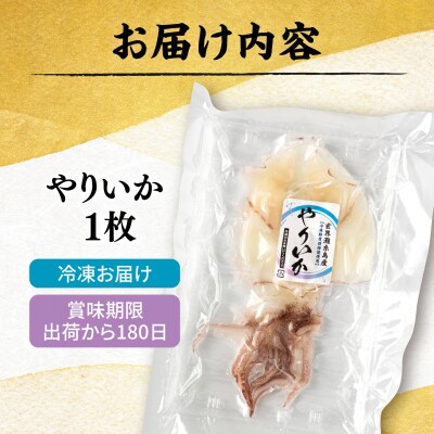 糸島玄界灘産 やりいか 1枚  糸島市 / 有限会社 糸島海産 / イカ / 肴 [AMR010]