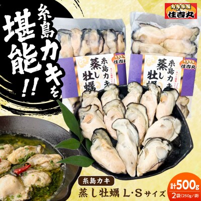 糸島カキ 蒸し牡蠣 Lサイズ・Sサイズ 500gセット [ACJ017]