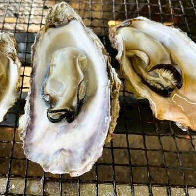 糸島カキ 蒸し牡蠣 Lサイズ・Sサイズ 500gセット [ACJ017]