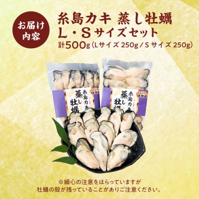 糸島カキ 蒸し牡蠣 Lサイズ・Sサイズ 500gセット [ACJ017]