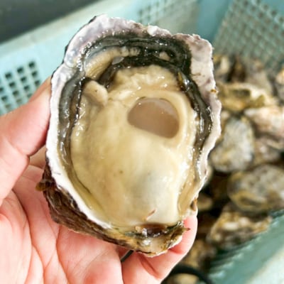牡蠣のさつま揚げ 3個セット 糸島市 / カキ小屋 住吉丸 [ACJ016]