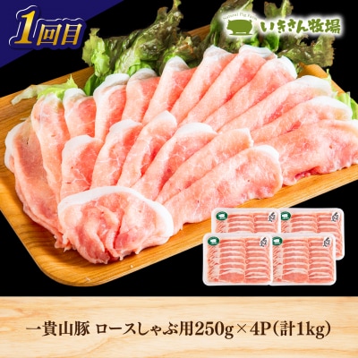 【全3回定期便】糸島・お肉定期便(定番コース) 毎月3-4人前 [AAH016]