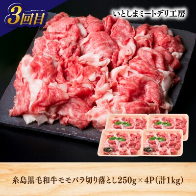 【全3回定期便】糸島・お肉定期便(定番コース) 毎月3-4人前 [AAH016]