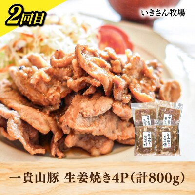 【全3回定期便】糸島・お肉定期便(お手軽コース) 毎月2-3人前 [AAH017]